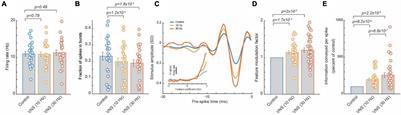 Rapid Effects of Vagus Nerve Stimulation on Sensory Processing Through Activation of Neuromodulatory Systems